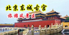想要鸡巴插进去了操死骚货视频中国北京-东城古宫旅游风景区